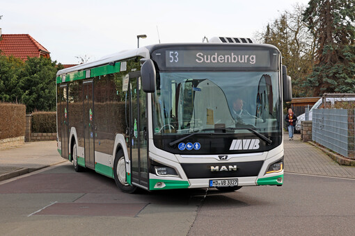Ein grün-weiß-schwarzer Bus der Magdeburger Verkehrsbetriebe im Stadtgebiet