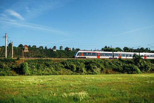 Abellio-Hamsterbacke im Sommer En schwarz-silberner Zug vom Typ Bombardier Talent 2 von Abellio Rail Mitteldeutschland fährt durch eine sommerliche Landschaft.