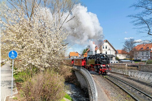 Eine Dampflokomtive der Harzer Schmalspurbahnen fährt durch frühlingshafte Landschaft. Linke blüht ein Baum weiß.